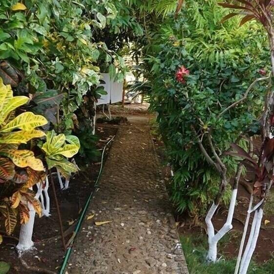 Posada Come So In The Bush