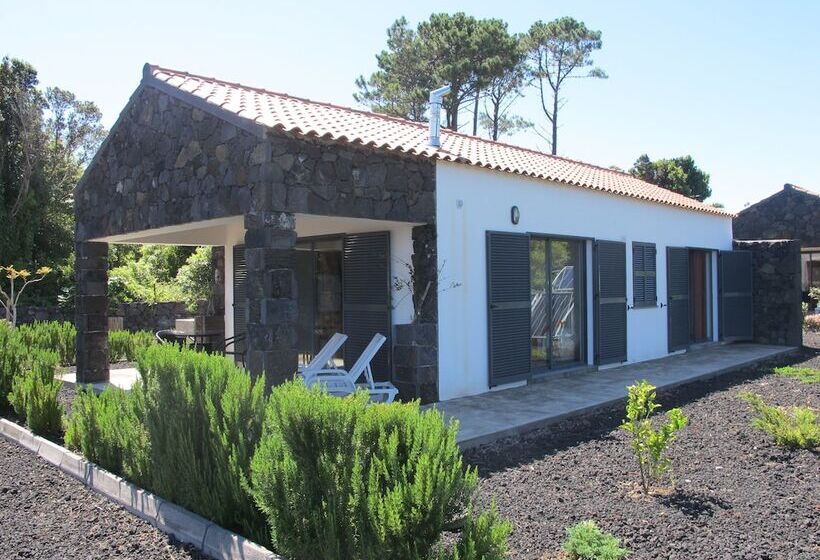 Relaxinpico   Villa 4 Seasons