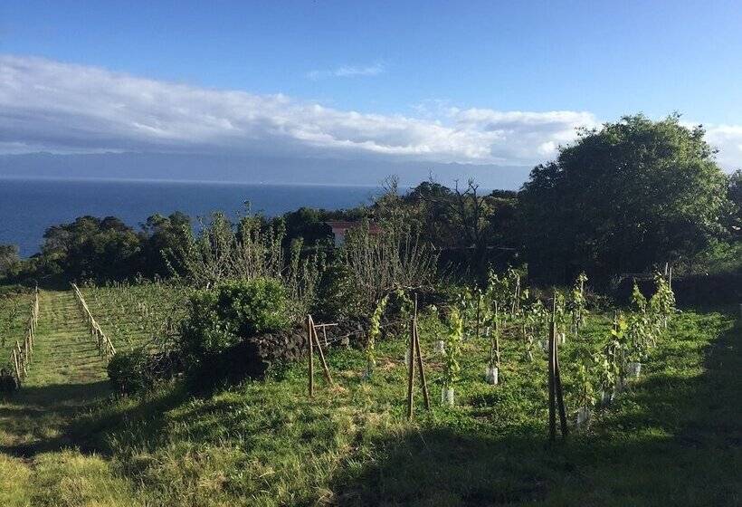 Saint Jorge Farm And Bungalows