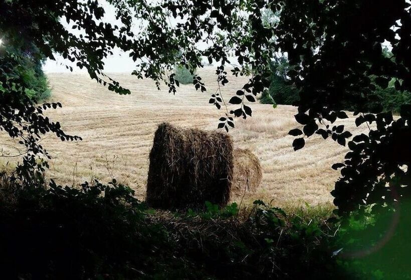 צימר Sasso Erminia R&b Ecosostenibile