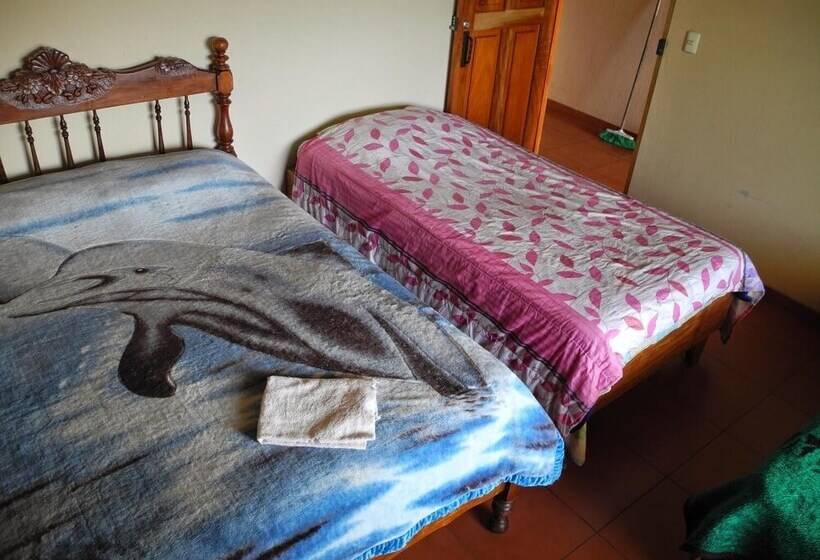 Sleepers Sleep Cheaper Hostel