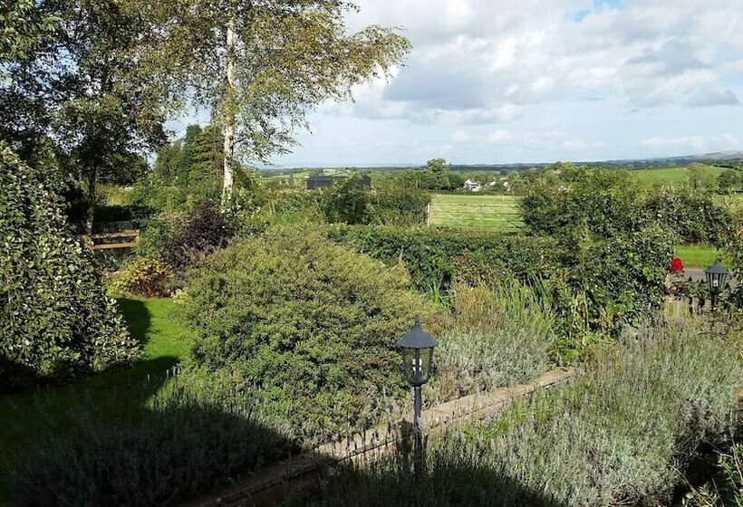 مبيت وإفطار The Green