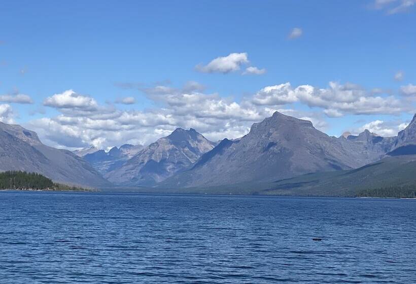 The Reclusive Moose Cabins