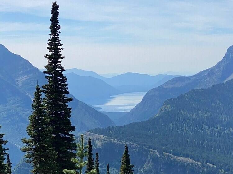 The Reclusive Moose Cabins