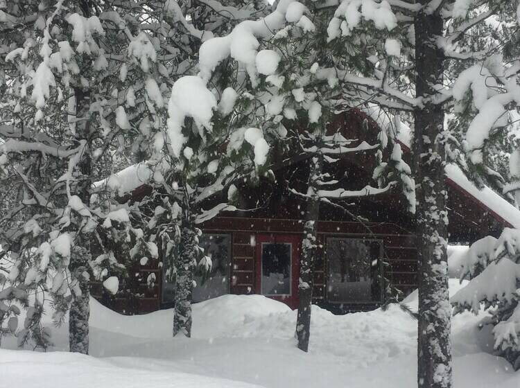 The Reclusive Moose Cabins