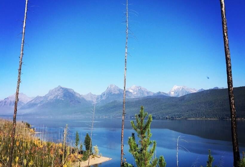The Reclusive Moose Cabins
