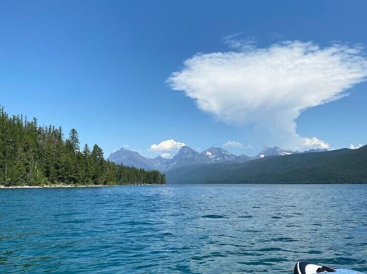 The Reclusive Moose Cabins