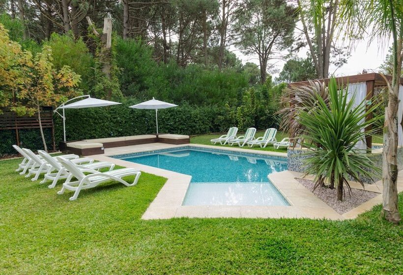 Undarius Hotel   Clothing Optional Hotel For Gay Men