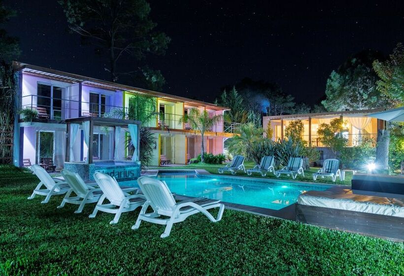 Undarius Hotel   Clothing Optional Hotel For Gay Men