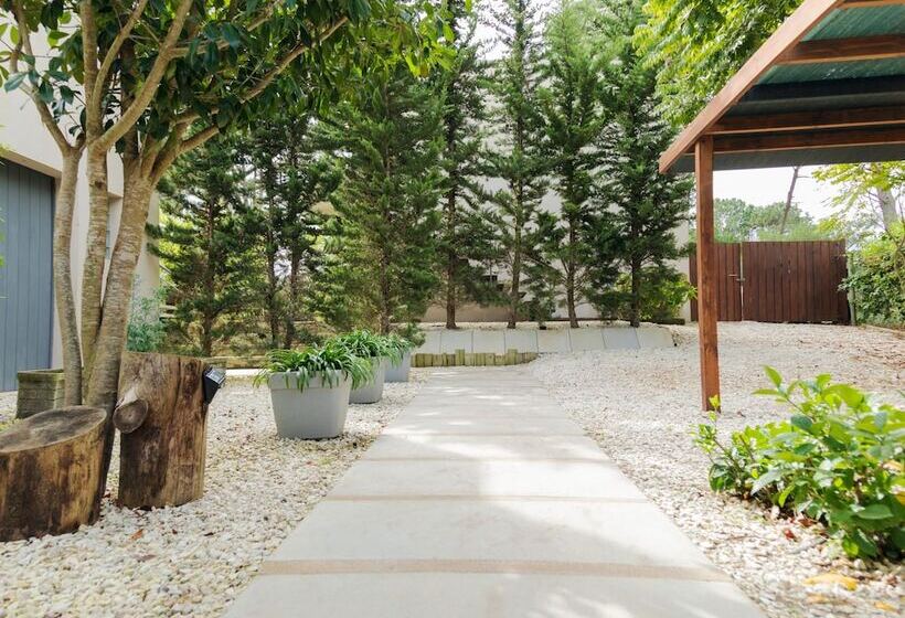 Undarius Hotel   Clothing Optional Hotel For Gay Men