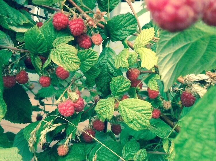 Alaska Adventure Cabins