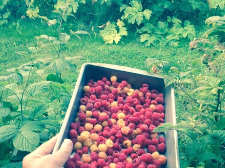 Alaska Adventure Cabins