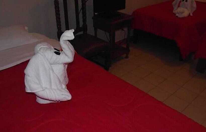 ユースホステル Las Brisas Hostal