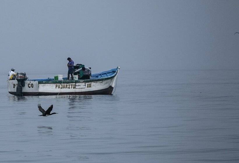 Apartamento Frente Islas Ballestas