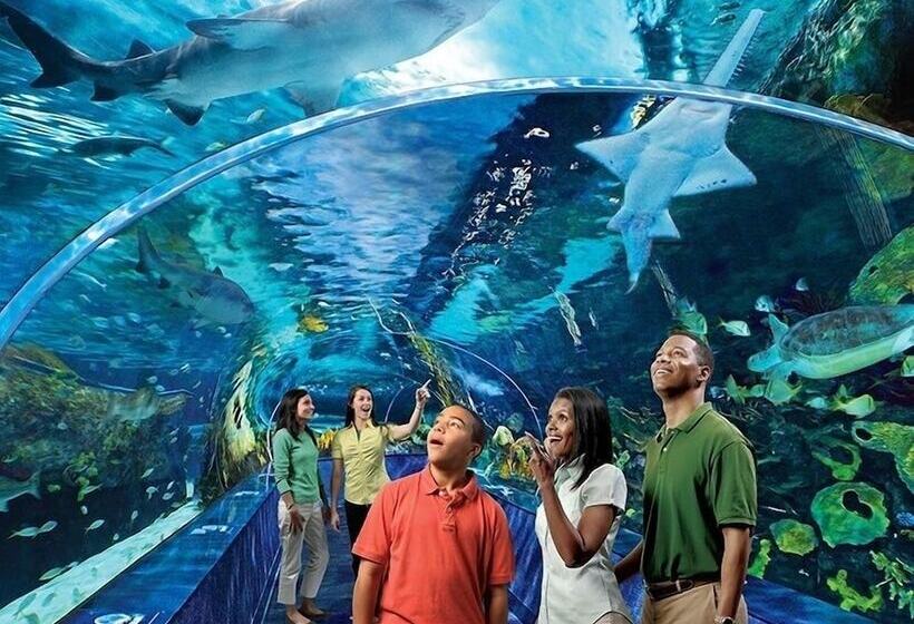 Around The Mountain By Redawning