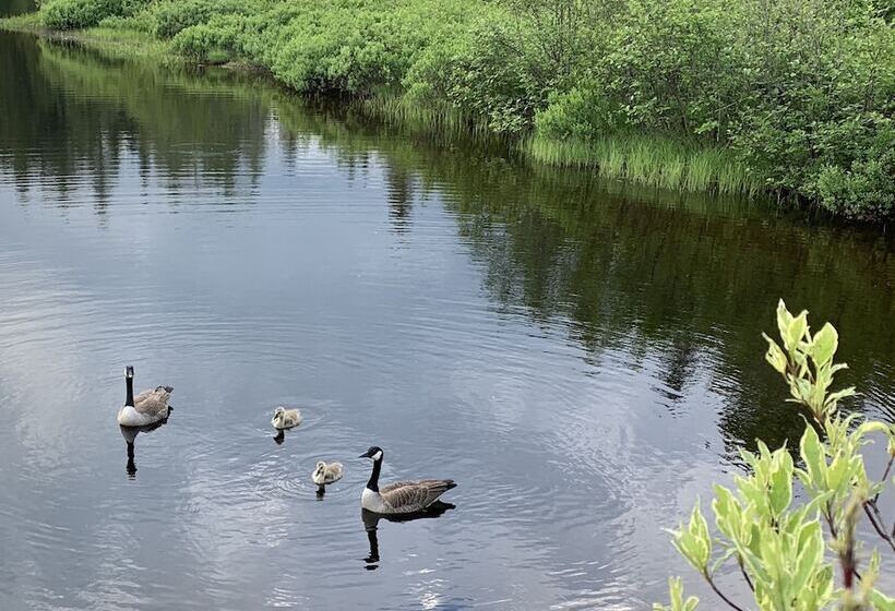 住宿加早餐  Auberge Au Phil De L'eau