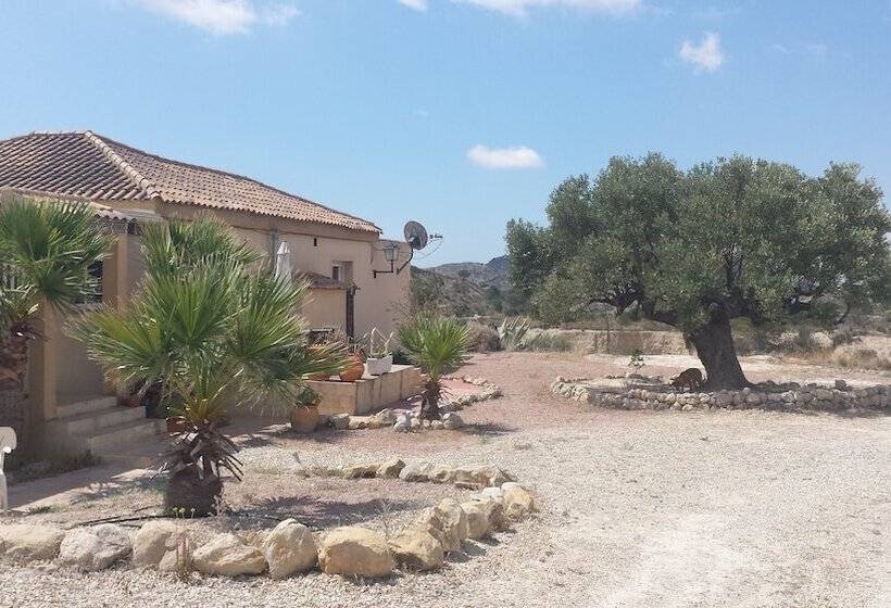 צימר Mas Del Conill