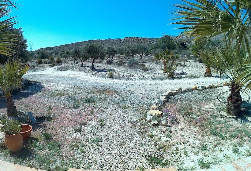 צימר Mas Del Conill