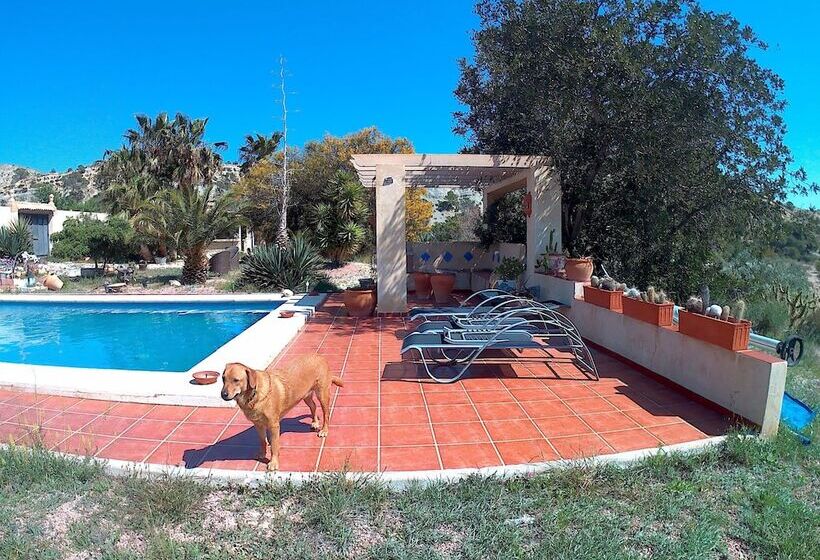 צימר Mas Del Conill