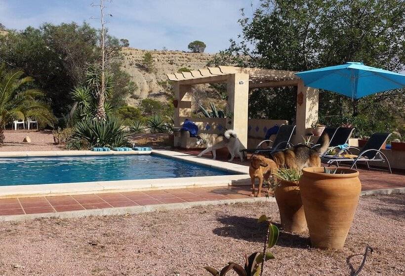 צימר Mas Del Conill