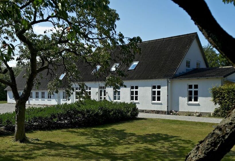 Bed and Breakfast Mejerigaarden