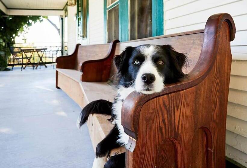 ベッドアンドブレックファースト Mt. Philo Inn