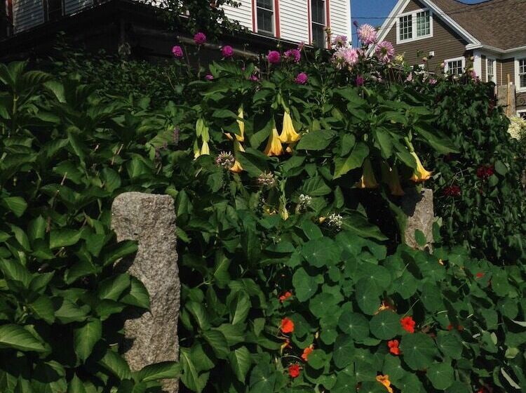 住宿加早餐  Scotch Hill Inn