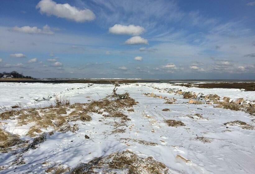 مبيت وإفطار Village Inn