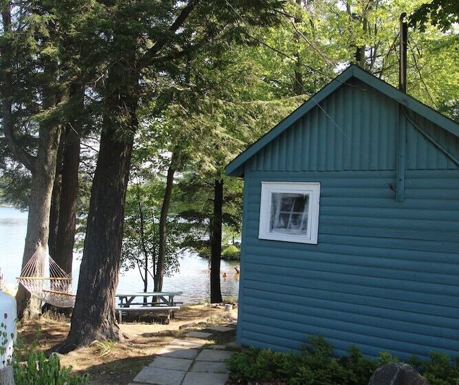 Black Lake Cabins