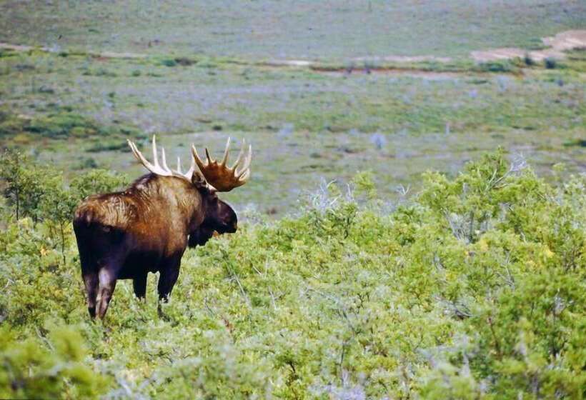 Butte's Bethel Farm B&b