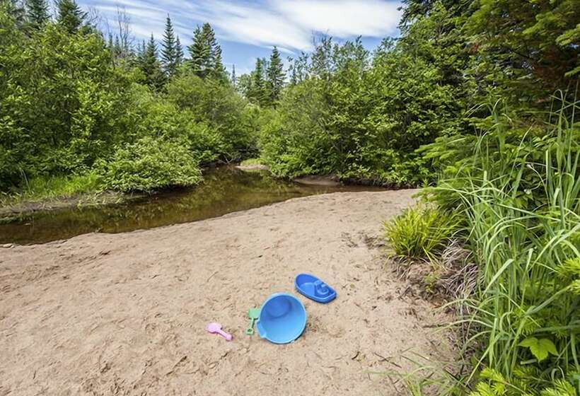 Le Bois Rond Des Ruisseaux