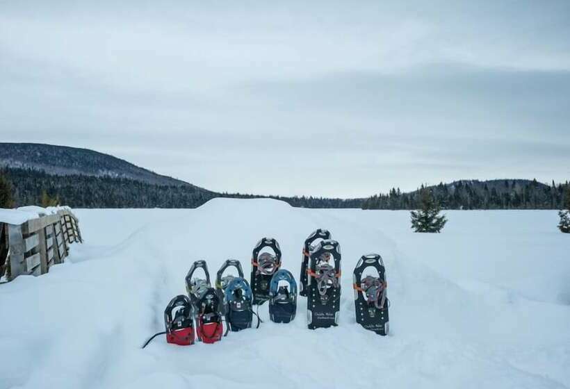 Le Bois Rond Des Ruisseaux