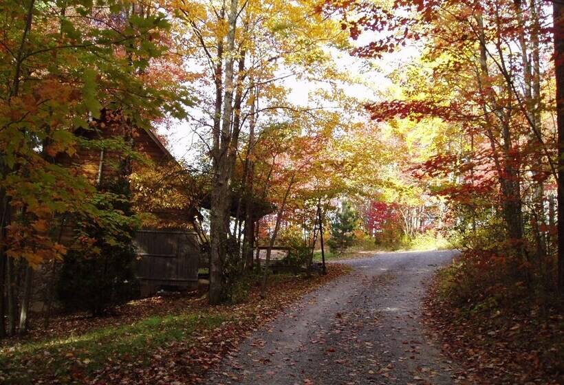 Country Road Cabins