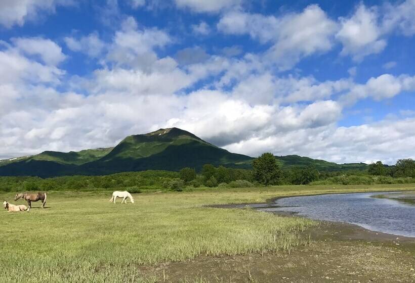 Cranky Crow Bed And Breakfast
