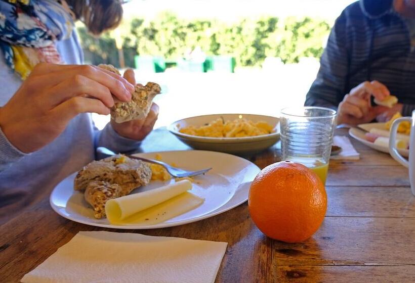 Freesurfcamp & Hostel