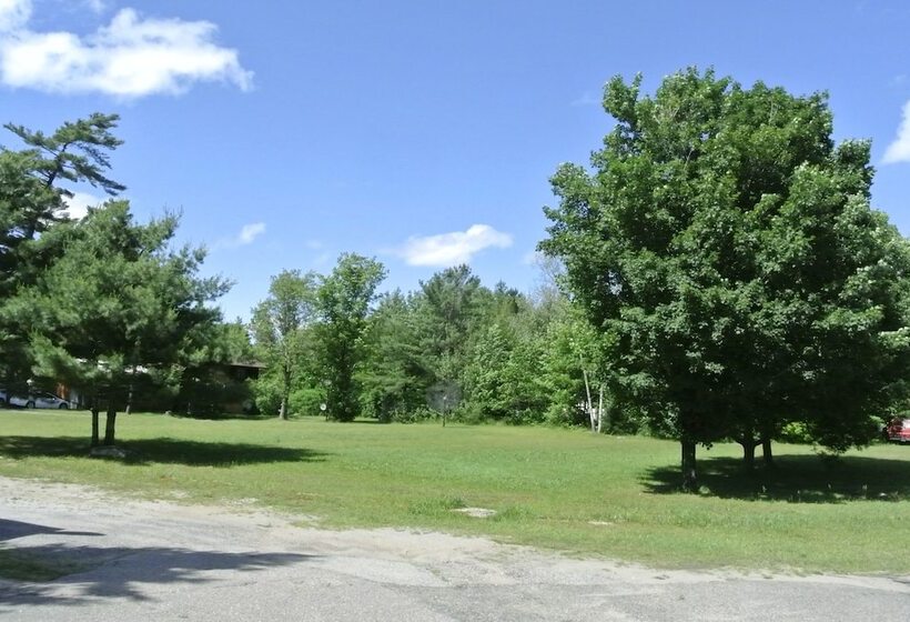 Gold Pine Inn Motel