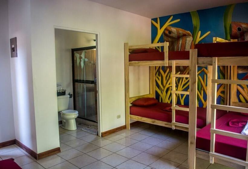 Hostel Dos Monos