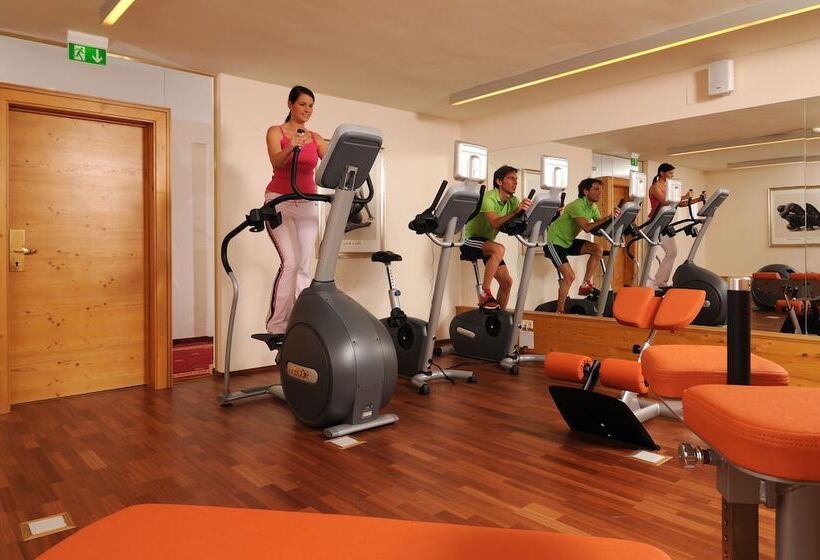 בית מלון כפרי Alpenhof