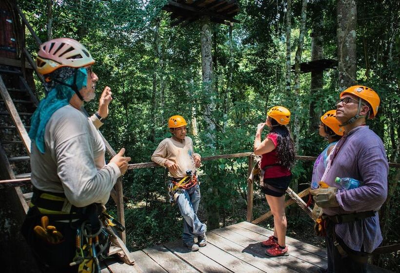 هتل Avatar Amazon Lodge & Canopy Park