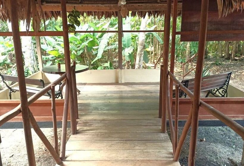 هتل Avatar Amazon Lodge & Canopy Park