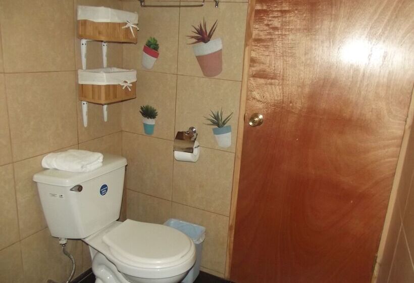 בית מלון כפרי Boutique Borde Estero Pucón