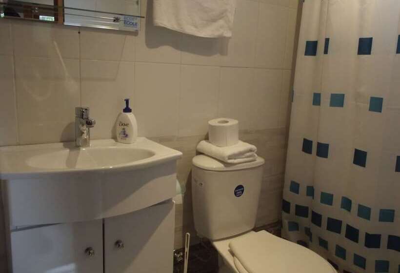 בית מלון כפרי Boutique Borde Estero Pucón