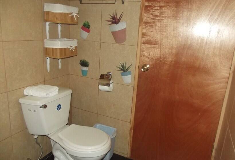 בית מלון כפרי Boutique Borde Estero Pucón