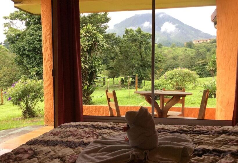 酒店 Cabinas Los Guayabos