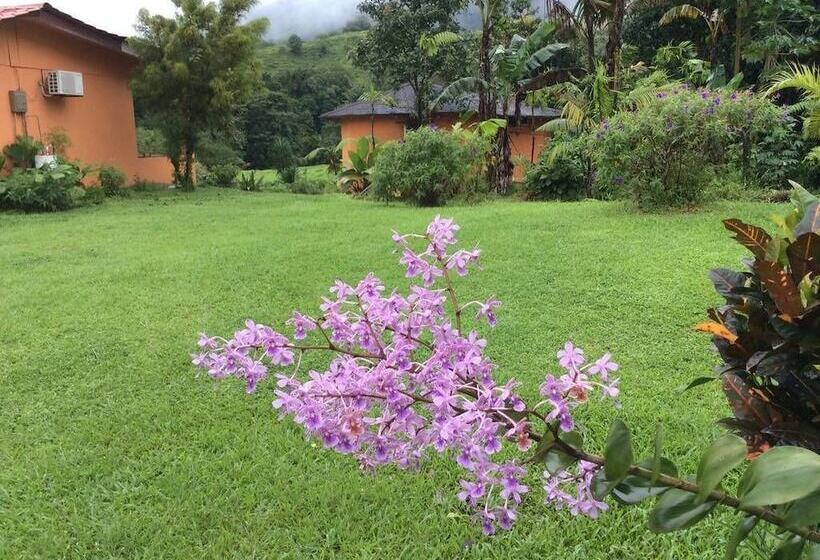 酒店 Cabinas Los Guayabos