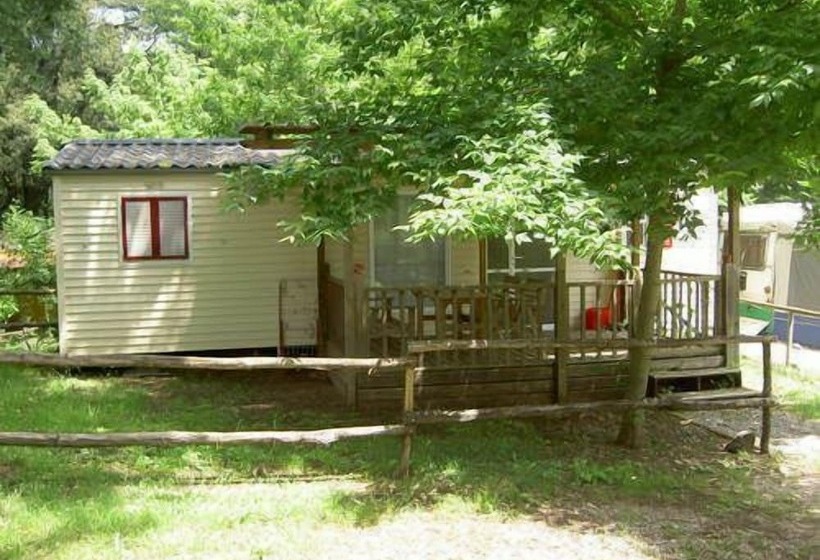 Отель Camping Mas Patxet