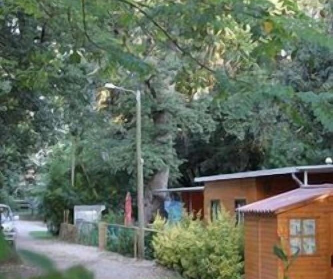 Отель Camping Mas Patxet