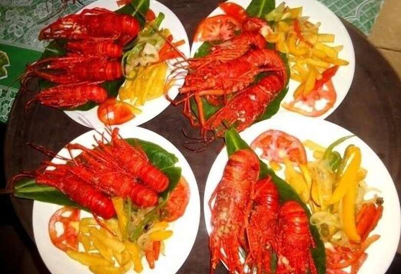 酒店 Dolphin Lodge Uaguinega