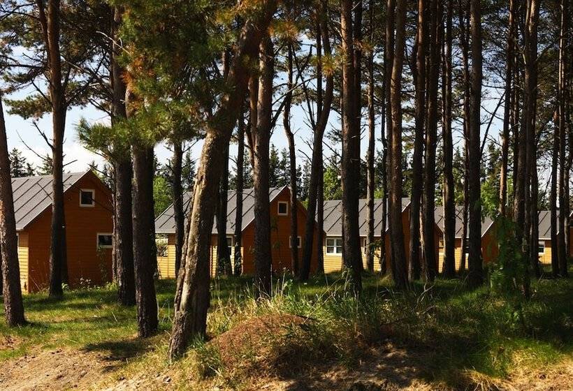 호텔 First Camp Råbjerg Mile Skagen