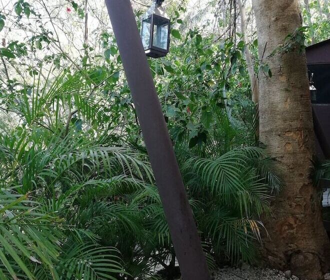 בית מלון כפרי Green Sanctuary